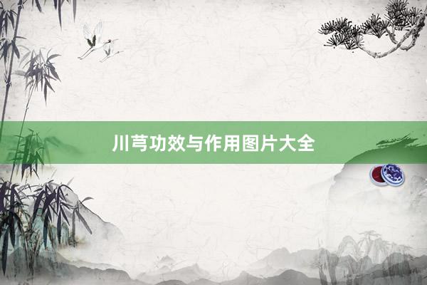 川芎功效与作用图片大全